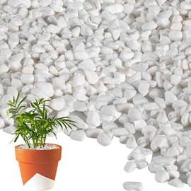 AHSNYLC White Succulent Pebbles - 880G Small White Pebbles Garden Pebbles White Pebbles for Vases,Snow White Pebbles,White Stone White,Aquarium Rocks for Plants,Garden,Fish Tank,Vases, Succulents