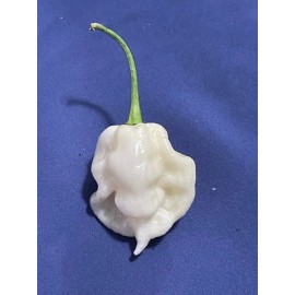 Superhot Seeds 50+ Random SUPERHOT Pepper Seeds. Over 20 Different Kinds Of Superhot Peppers
