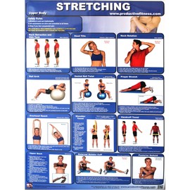 Productive Fitness Poster Series Upper Body Stretching Exercises Non-Laminated