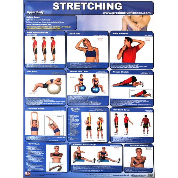 Productive Fitness Poster Series Upper Body Stretching Exercises Non-Laminated