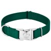 Country Brook Petz Premium Nylon Dog Collar with Metal Buckle