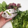 Herb Stripper, Stainless Steel Herb Leaf Stripping Tool, 11 holes