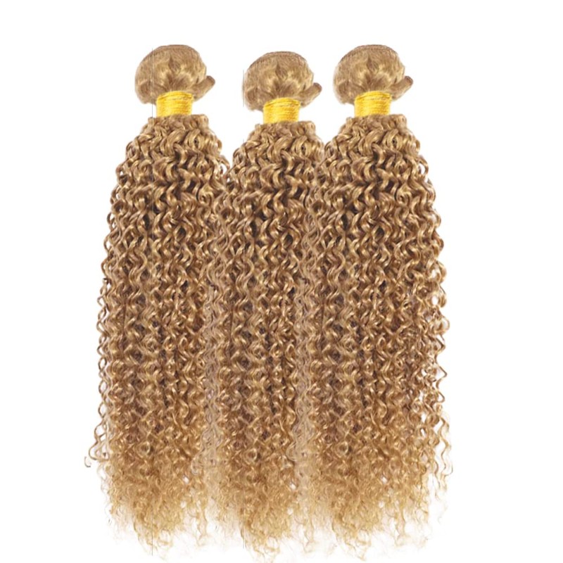 Color 27 Kinky Curly Bundle Human Hair Honey Blonde Bundles