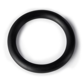 Polaris Genuine Parts O-Ring, UWF/QD, 6-505-00
