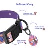 Pawview Dog Collar with Smart QR Code ID Tag –