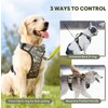 BiPawTi LED Light Up Dog Harness for Safety Night Walking,