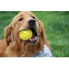 Flingerz Ultra Durable Whistling Ball Launcher Dog Toy (1 Count)