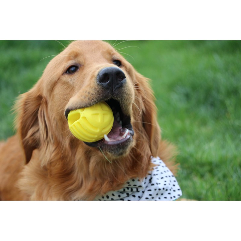 Flingerz Ultra Durable Whistling Ball Launcher Dog Toy (1 Count)