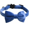 Waves of the Gusset, Cat Collar, Dog Collar, Dog Collar,