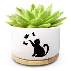 Funny Cute Cat Ceramic Planter Pot with Drainage Holes and Bamboo Tray Ideal for Succulent and Cactus Plants Decorative Indoor Home Office Gift for Cat Lovers and Plant Lovers (Plant Not Included)