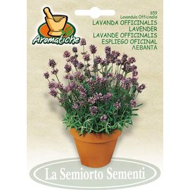 Salerno Seeds Lavender Lavanda Herb 1 Gram Made in Italy Italian Non-GMO