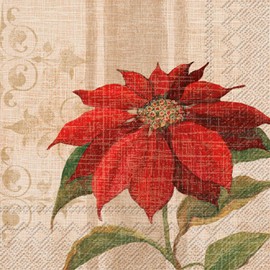 Christmas Blossom Party Napkins - 40 Count | 2 Packs of 20CT 3-Ply Lunch Napkins, Poinsettia Design