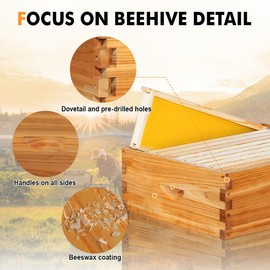 beeknows 10 Frame Medium Super Beehive Box Wax Coated Bee Hives Includes Beehive Frames and Waxed Foundations (Unassembled)
