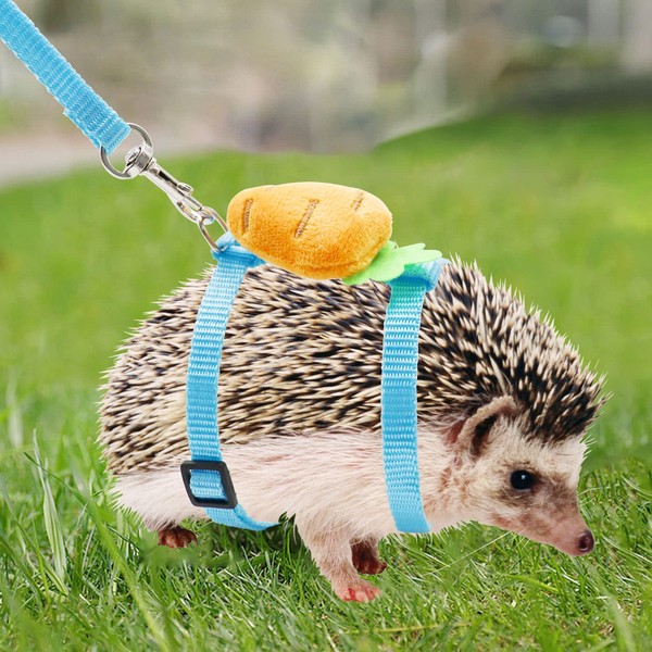 Adjustable Hedgehog Training Harness with Leash, Nylon Rope with Cute