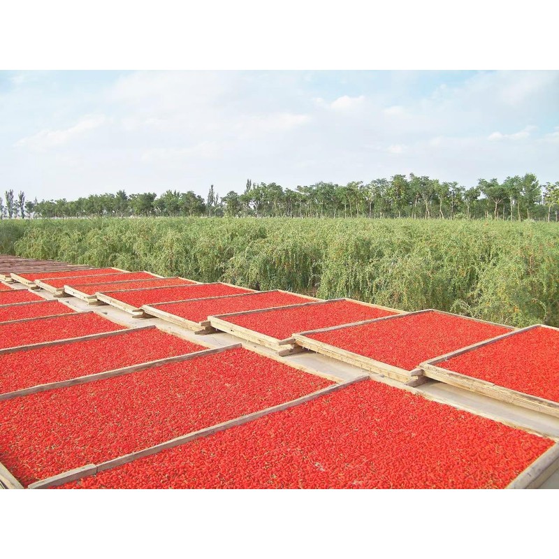 Organic Dried Goji Berries 8oz