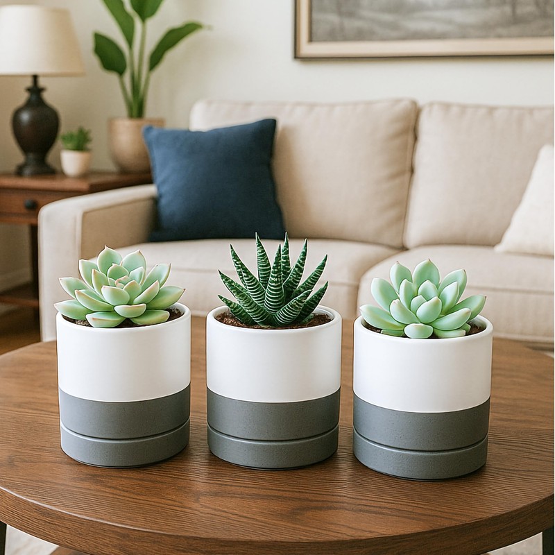 D'vine Dev 4.7 Inch Ceramic Planter Pot with Drainage Hole