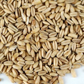 Organic Hulled Oat Groats (Hull Removed): 5 Lbs - Non-GMO Oats - Cereal Grain - Emergency Food Storage, Grains, Rolling for Oatmeal, & More