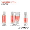 Joico YouthLock Blowout Crème Formulated With Collagen|Youthful Body & Bounce|Strengthen