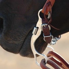 Classic Rope Company Classic 6in Smooth Snaffle Bit