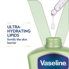 Vaseline Intensive Care Hand and Body Lotion For Dehydrated Skin Soothing Hydration Dry Skin Lotion with Aloe Vera Extract & Ultra-Hydrating Lipids 10 oz
