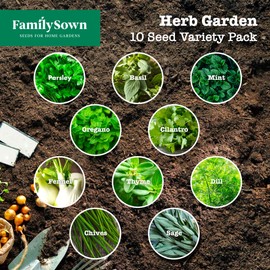 Herb Garden 10 Seeds Variety Pack for Planting Indoor and/or Outdoor herb Gardens. Parsley, Cilantro, Mint, Basil, Oregano, Dill, Thyme, arugula, Chives, sage.