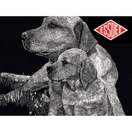 West Design British Plain 1/4 Sheets, 24.5 x 1.5 x 34 cm, Black