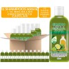 Shampoo Aceite De Bergamota 12 Pzs 500ml C/u +12 Muestras