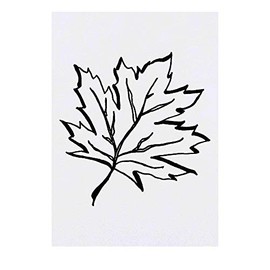 'Sycamore Tree Leaf' Temporary Tattoo - Water Resistant, Skin-Safe, Non-Toxic Transfer (TO00022665)