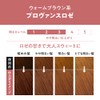 Liese Prettia Bubble Color Hair Dye