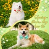 Hillban 50 Pieces Floral Collar Dog Bow Ties Flower Dog