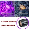 UV Flashlight, Mineral Appraisal, Wavelength 365 nm/395 nm, Black Light,