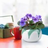LITUDISO African Violet Pots, 6 Inch Self Watering Pots for