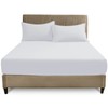 GC GAVENO CAVAILIA 4ft Fitted Bed Sheet- Polycotton Small Double