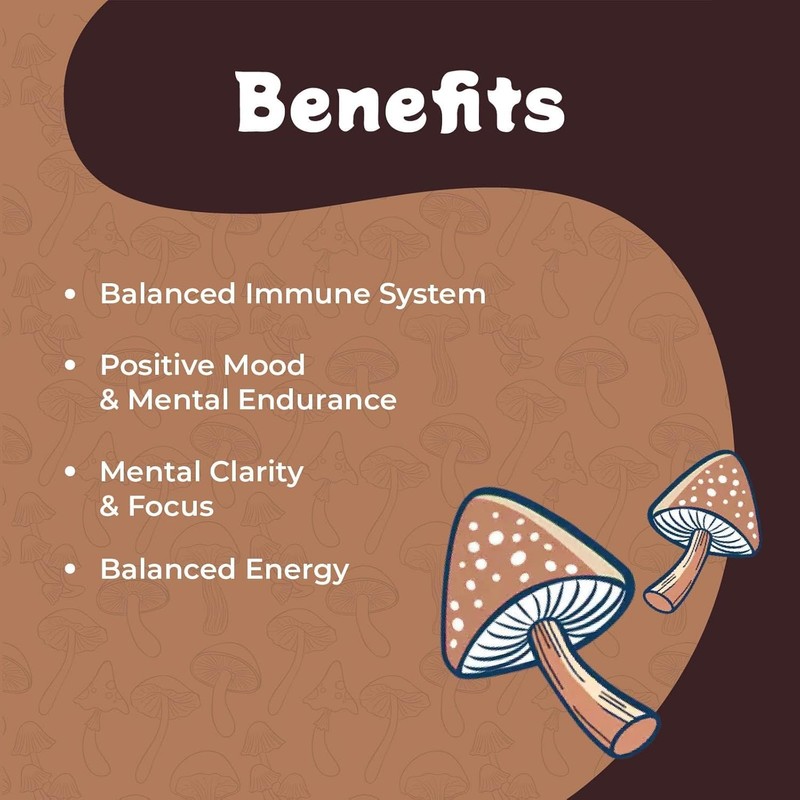 Melting Forest Mushroom Coffee, with 7 Functional Mushrooms, Cacao, Rhodiola,