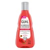 Guhl Shampoo Colour Retention & Care – 250 ml