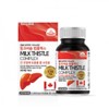 Improve liver function, liver protector, fatigue nutrient, silymarin effect /