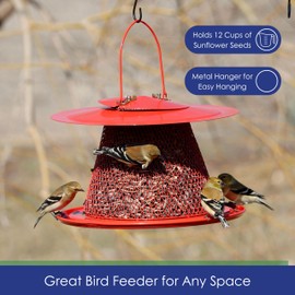 Backyard Essentials Collapsible Metal Mesh Bird Feeder, Red Cardinal Bird Feeder Holds 12 Cups of Sunflower Seeds
