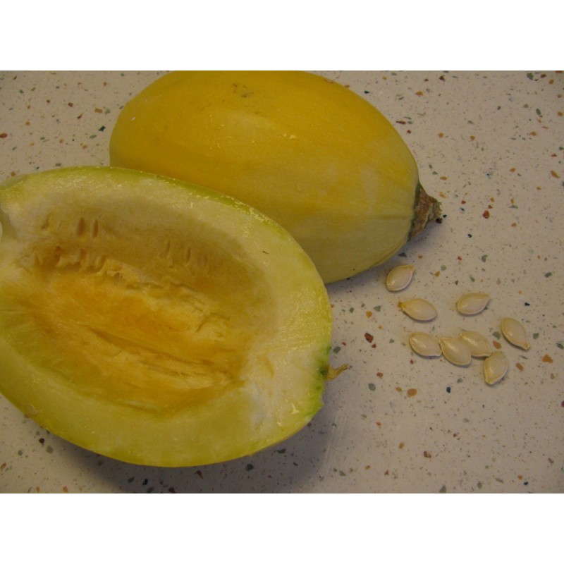 Unbranded Heirloom Melon & Squash Garden Collection-Org