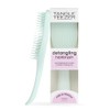 Tangle Teezer Fine and Fragile Ultimate Detangler Hairbrush for Coloured,