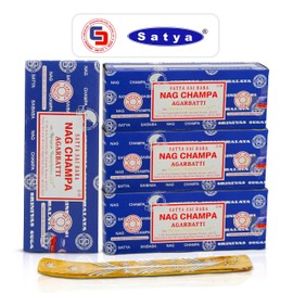 Raajsee Incense Stick Holder Bundle with Satya Nag Champa Incense Sticks 250 gmx 4 Pack (1000 GMS), Insense Sticks Nag Champa Agarbatti