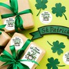Happy St. Patrick's Day Stickers Shamrock Party Stickers St. Patrick'
