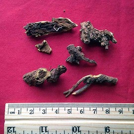 XYP Huangqin Huang Qin 黄芩 100Gram