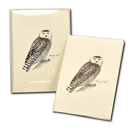Earth Sky + Water - Sibley’s Snowy Owl Notecard Set - 8 Blank Cards with Envelopes
