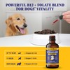 Special Breed Liquid Vitamin B12 for Dogs – Methylcobalamin and