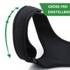 Sieger 2020 Vitalfabrik Back Support Straight Holder for Posture Correction,