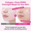Numbuzin [Numbuzin]No.2 Rose PDRN Overnight Collagen Mask (4ea)