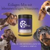 Dr. Flex Collagen Complex for Adult Dogs - 300 g