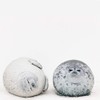 MerryXD Chubby Blob Seal Pillow,Stuffed Cotton Plush Animal Toy Cute