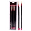 Amazing Shine Amazing Shine Professional 3 Piece Nail Art Brush