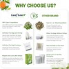 LeafLea 120 Guava Leaf Tea Bags, Premium Natural Herbal Tea,
